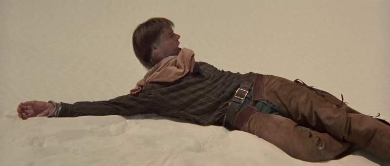 Bury him
