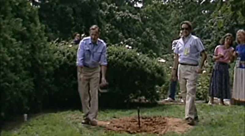 Bush ran Arbusto into the ground