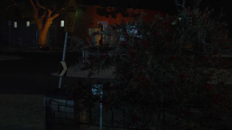 [bushes rustling]