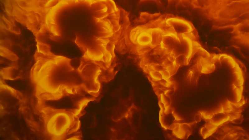 But a brain that could harness fire