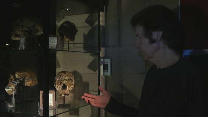 But a humanoid such as me is beyond their wildest expectations