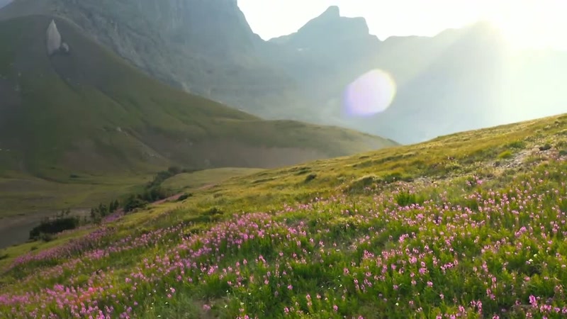 But at 2,000 metres