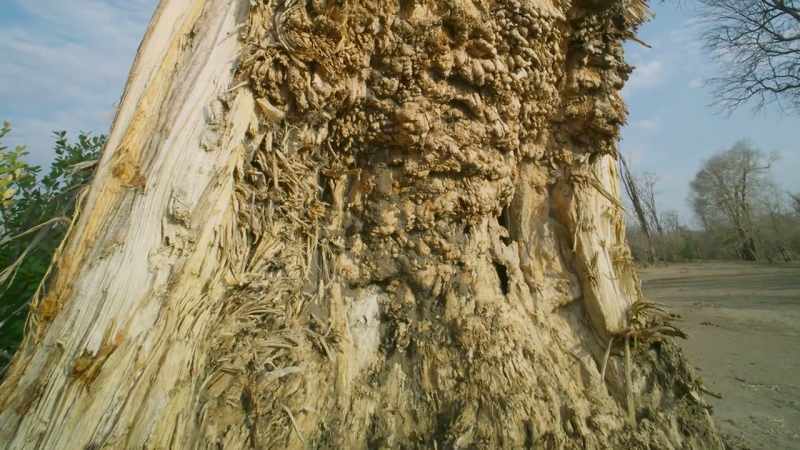 But its battered surface is evidence