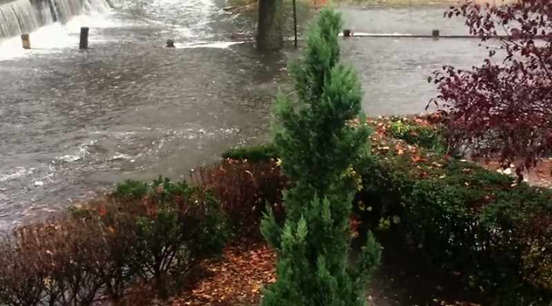 But before they can clear it out