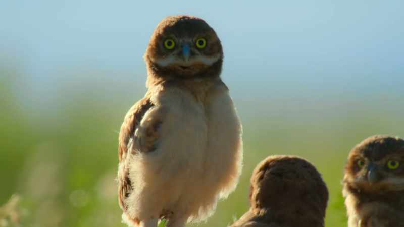 But being inquisitive can be a lifesaver