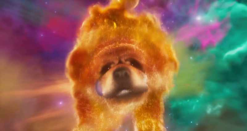 But they can't tell us about the space dog!