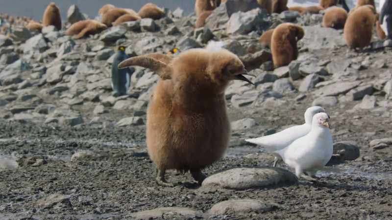 But this chick has decided to look around