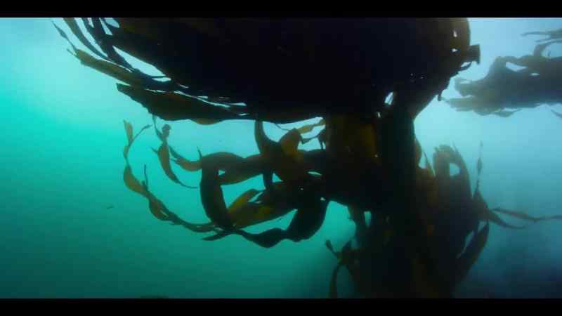 But conditions in the South Atlantic are unpredictable