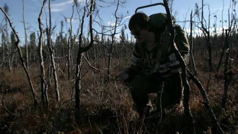 But it created just the right conditions for these blueberries