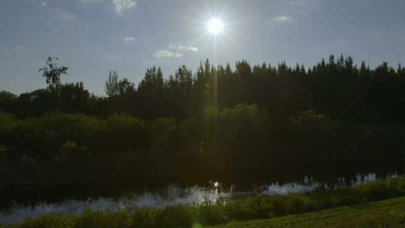 But elsewhere on Peters' property