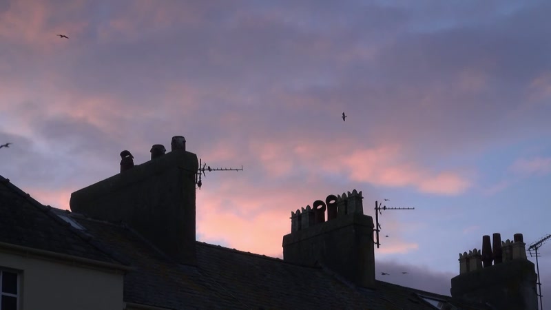 But as evening approached, Lucy didn't come home