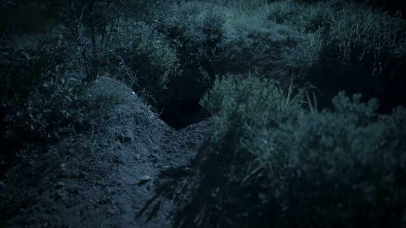 But finding an empty burrow is easier said than done