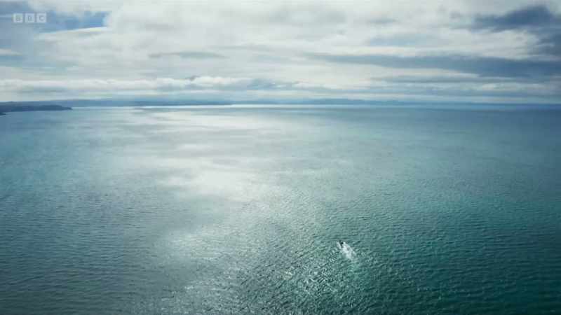 But finding the pod in this vast territory was not going to be easy