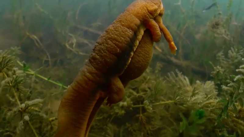 But her first partner maintains his grip
