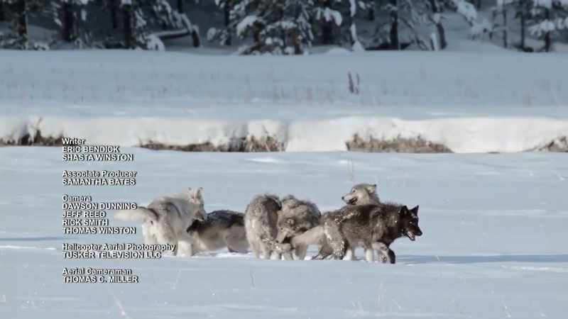 But given freedom to roam