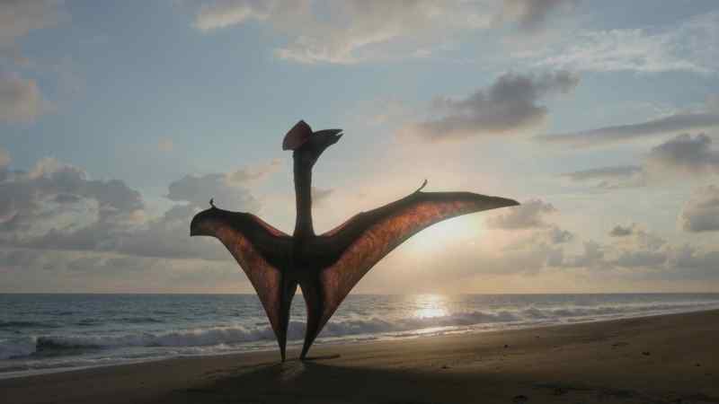 But for Hatzegopteryx, the beach is a launching pad