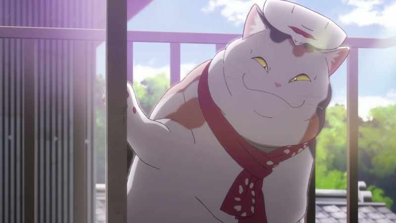 But you have to do it before you turn into a real cat