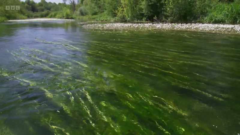 But here in England, every single river is polluted