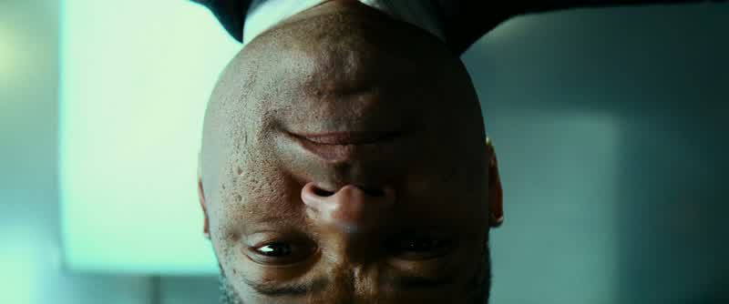 You can look at me with those judgmental, incriminating eyes all you want, but I bullshit you not