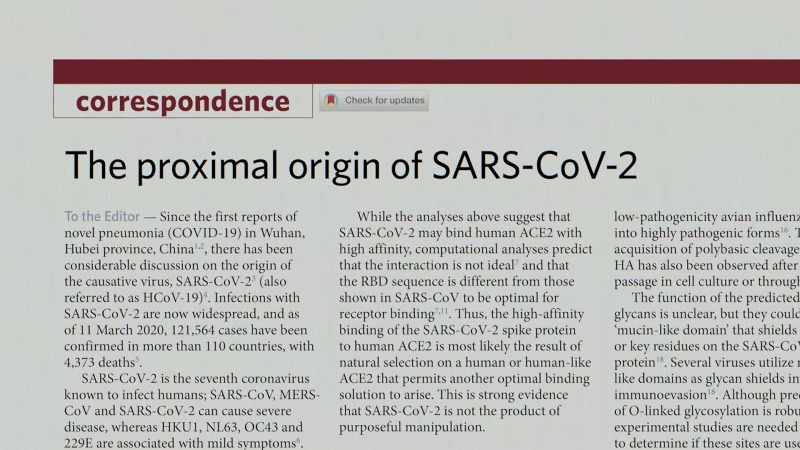 But I consider proximal origin