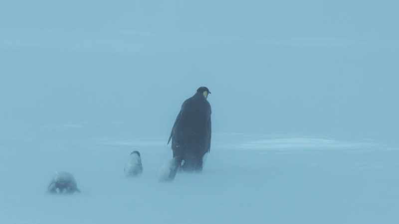 But in a blizzard, that is a bad idea