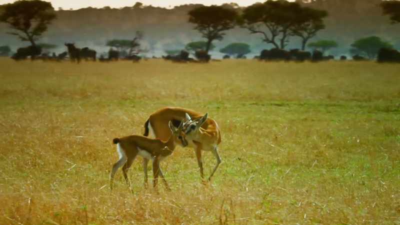 But in our land, life is rarely that simple