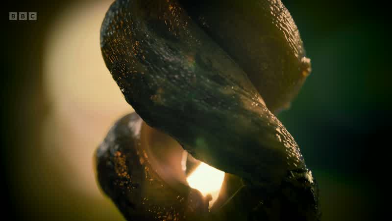 But it only leads to one thing - more slugs