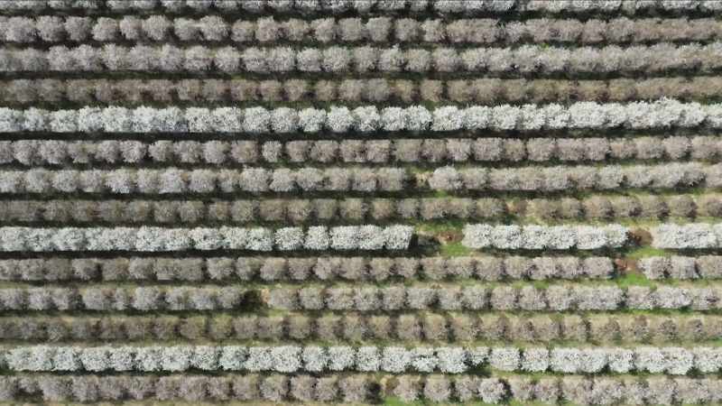 But is it possible, even in our most extreme monocultures