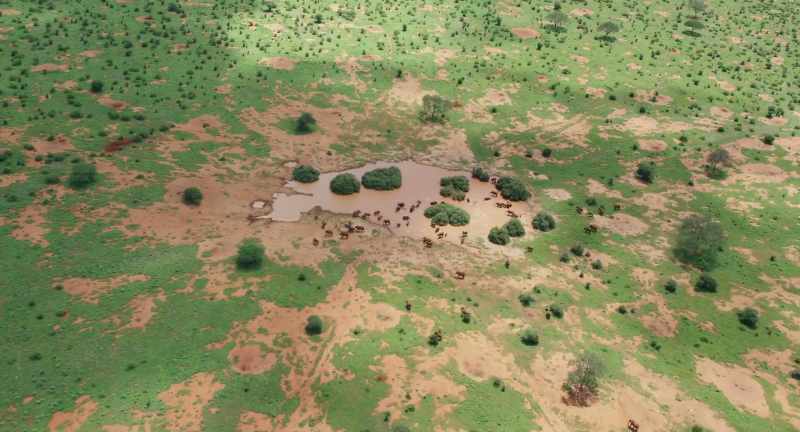 But unless it rains again, the water holes will vanish within weeks