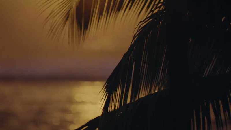 # But it's just a dream. It's all in my head. #