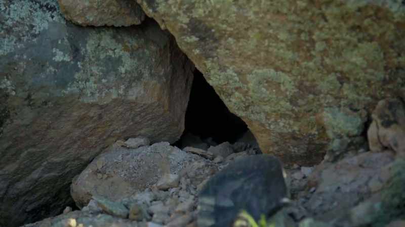 But, you know, it could just be a regular rock