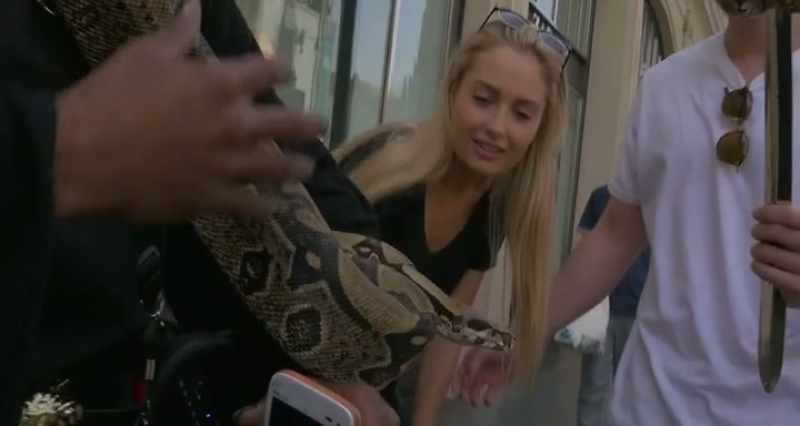 But you know, most boas are like gray or black or something