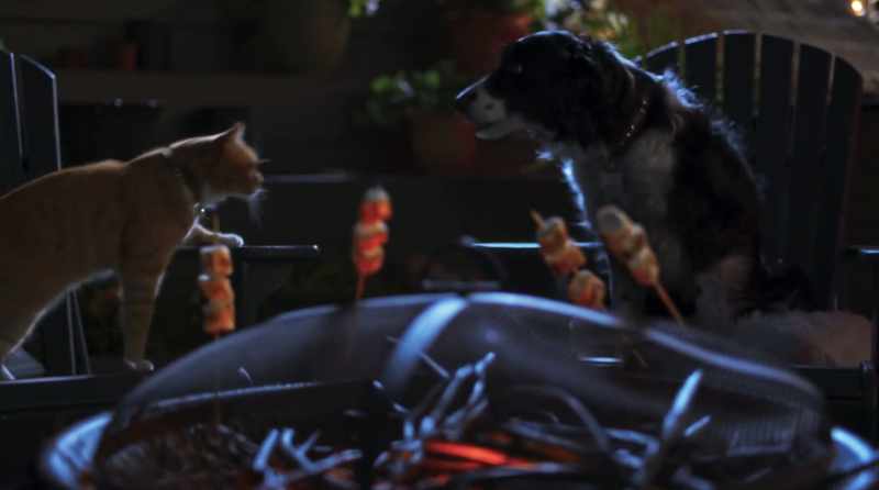 But listen, we can't forget that a pet's