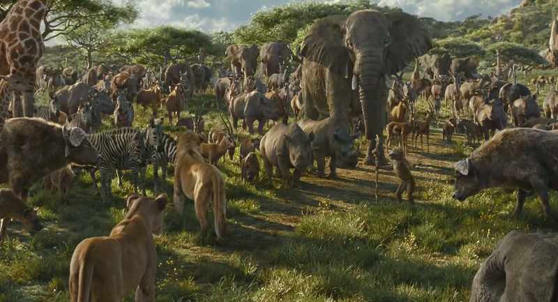 But, Mufasa