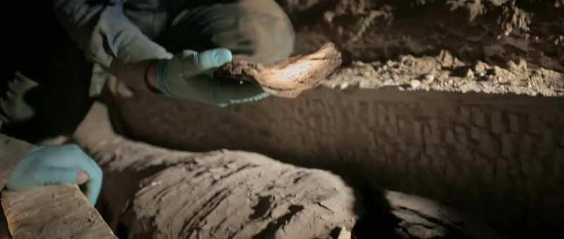 But this mummy, it was not really mummified in a perfect way
