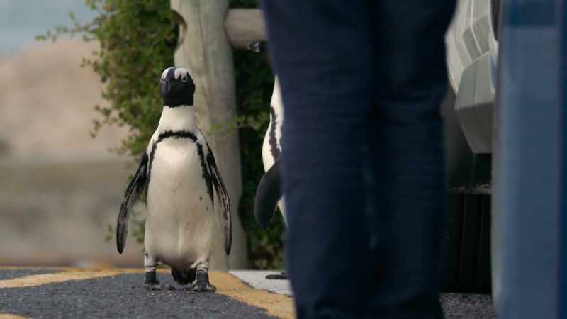 But, Murphy's Law