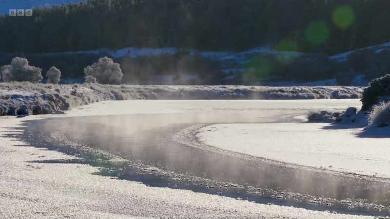 But they need cold, clear, free-flowing water to thrive