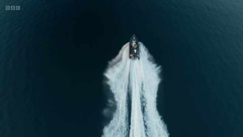 But not everything in our oceans is as slow-moving