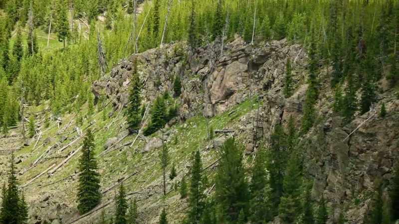 But Obsidian Cliff in northwest Yellowstone