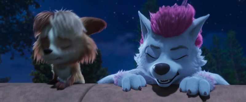 But, okay, can't we just send Moopoo home?