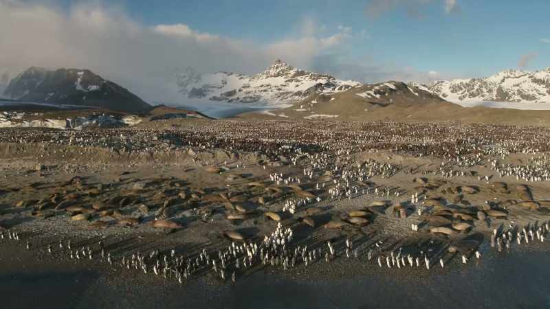 But on the edge of Antarctica