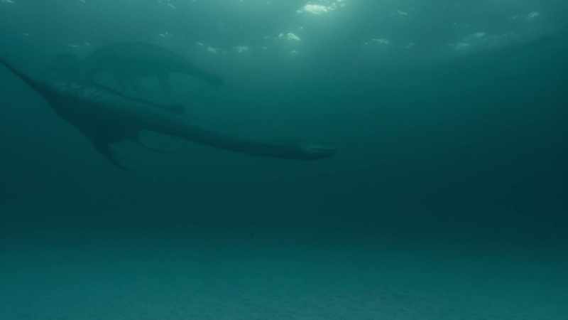 But outside these shallows, it's a different story