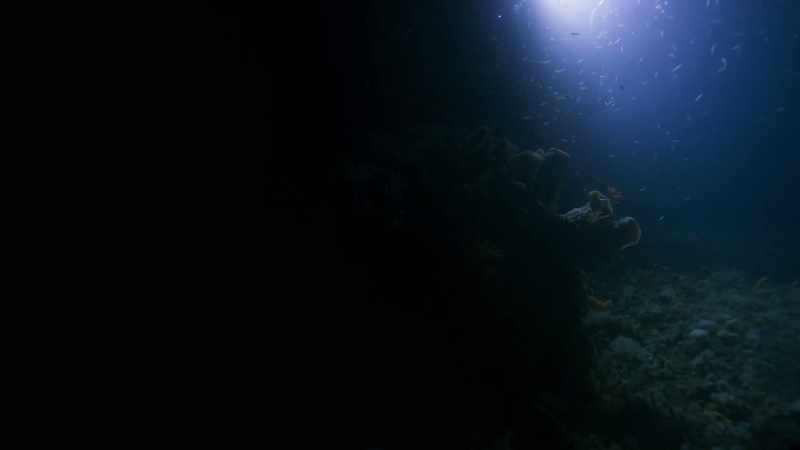 But over the following dives