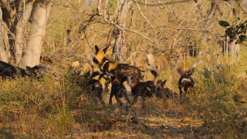 But they quickly give way to the youngsters