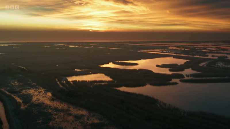 But recent conservation efforts have shown that they can be restored
