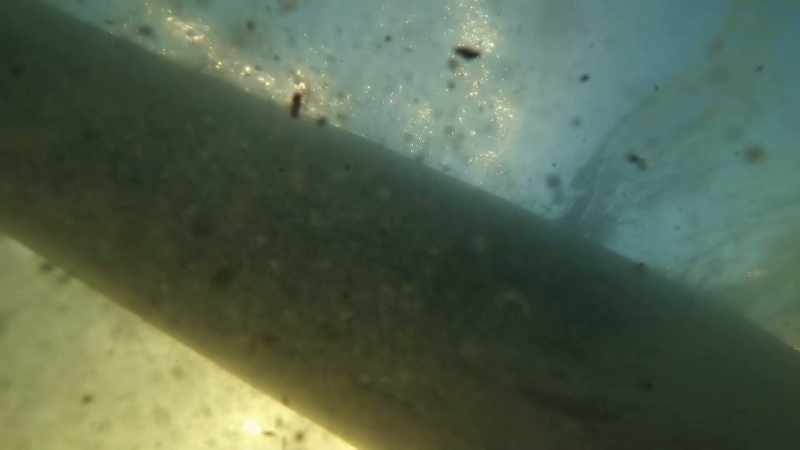But schooling fish are very hard to target