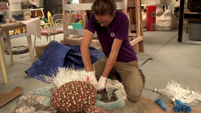But for some reason, everybody is psyched