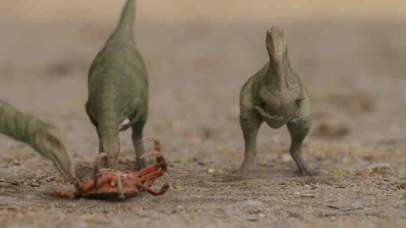 But some youngsters develop hunting instincts early