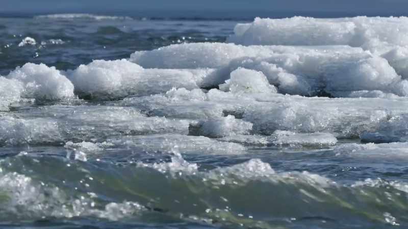 But soon its solitary winter on the river