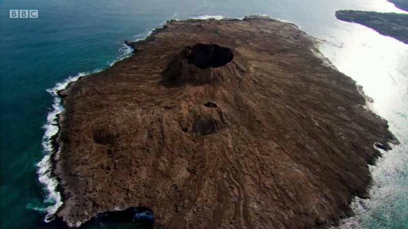 but surviving on remote islands can also be tough